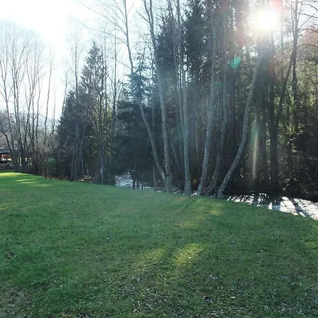 Rodinny Slnecnica * تالي