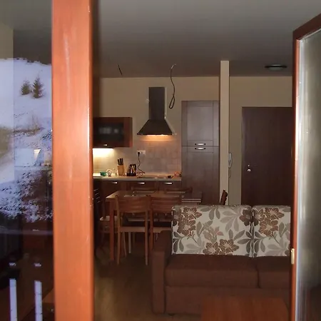 Rodinny Slnecnica تالي