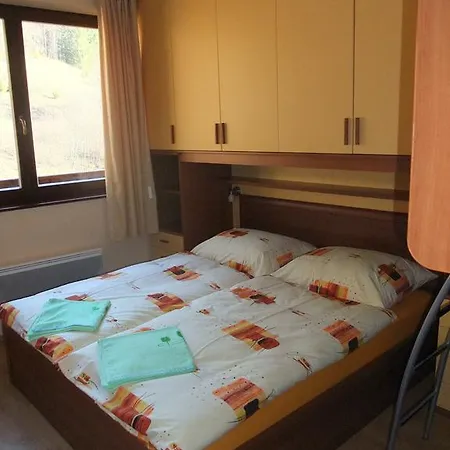 Rodinny Slnecnica تالي